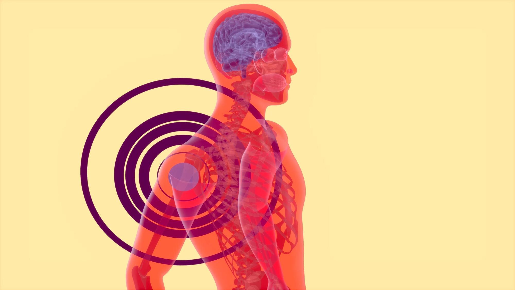 Zdravý životný štýl a wellness